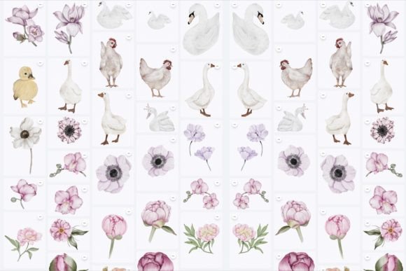 Birds and Flowers Illustrations Cliparts: A Watercolor Collection