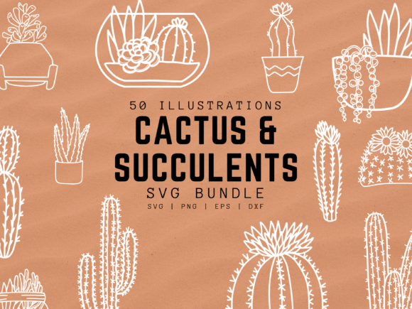 Cactus and Succulent SVG Illustrations: Your Go-To Design Toolkit