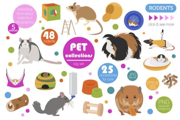 Exploring the Pet Rodents Illustrations Set: A Complete Design Toolkit