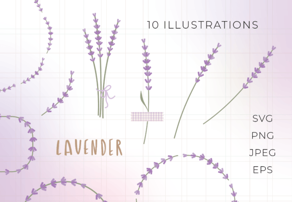 Lavender Flowers 10 Illustrations: Versatile Botanical Design Assets