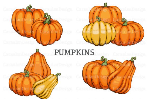 Seasonal Charm: Pumpkin Illustrations and Clipart for Your Projects