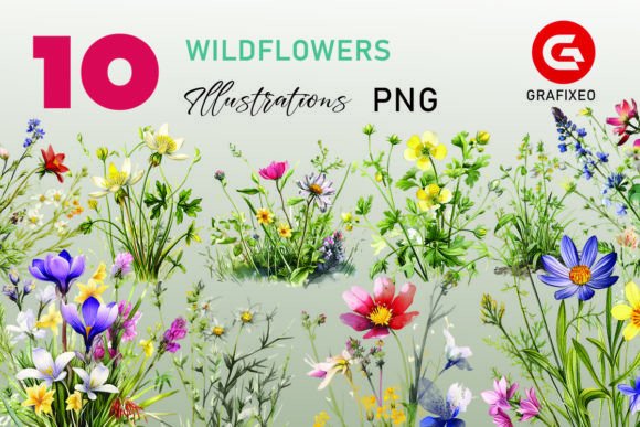 Unleashing Creativity with Colorful Wildflowers Illustrations