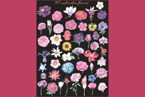 Watercolor Flowers Illustrations Png: A Fresh Take on Floral Design